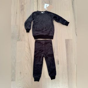 Analogie Lil Legs Dark Gray Velour Set Size 3T